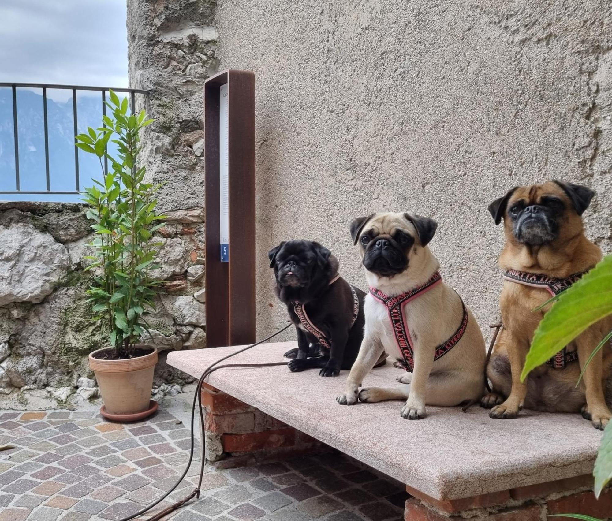 Locanda Al Castelletto Tremosine Exteriör bild